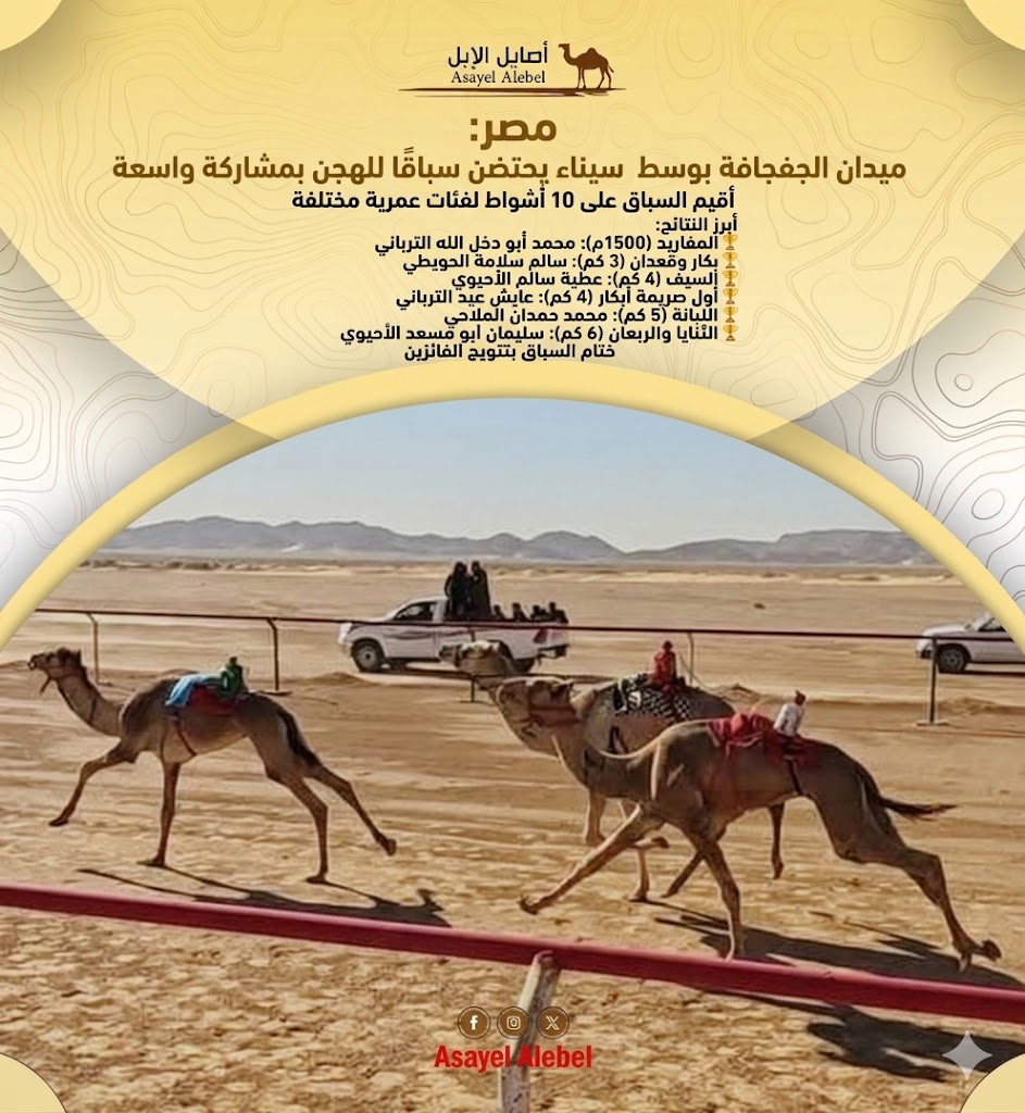 مصر: ميدان الجفجافة بوسط سيناء يحتضن سباقًا للهجن بمشاركة واسعة