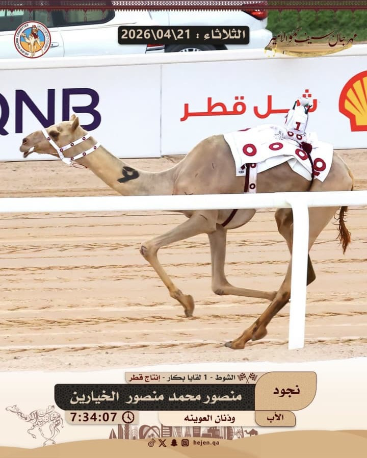 نجود والمستشار يشعلان صباح الشيحانية.. إثارة قوية في رابع أيام مهرجان سيف الأمير