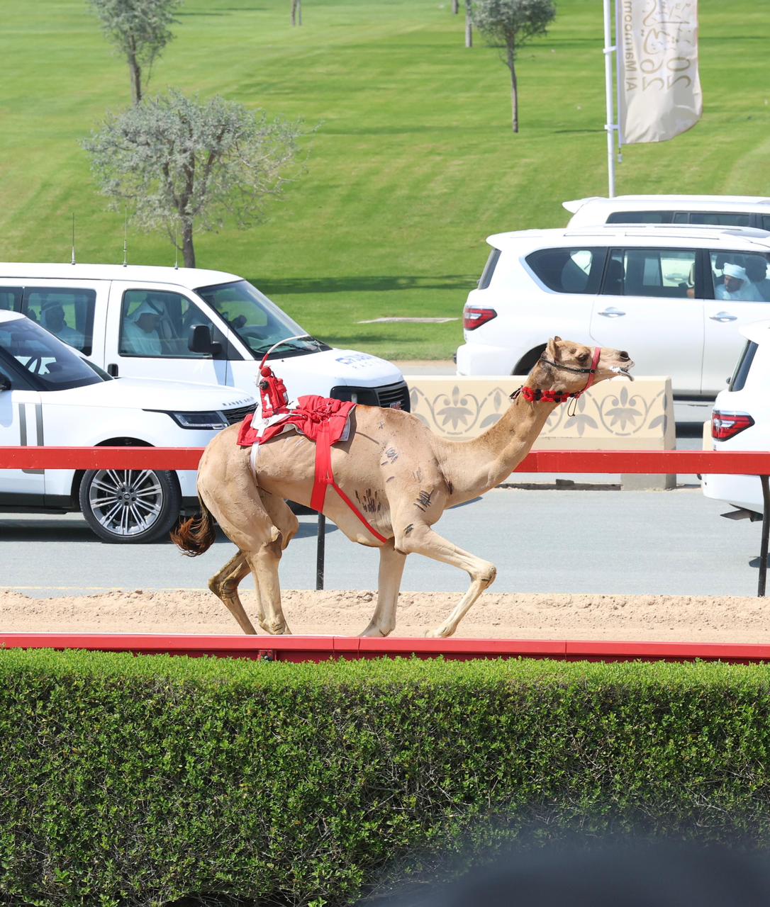 "ريماس"تهدي قصر البحر سيف الإمارات