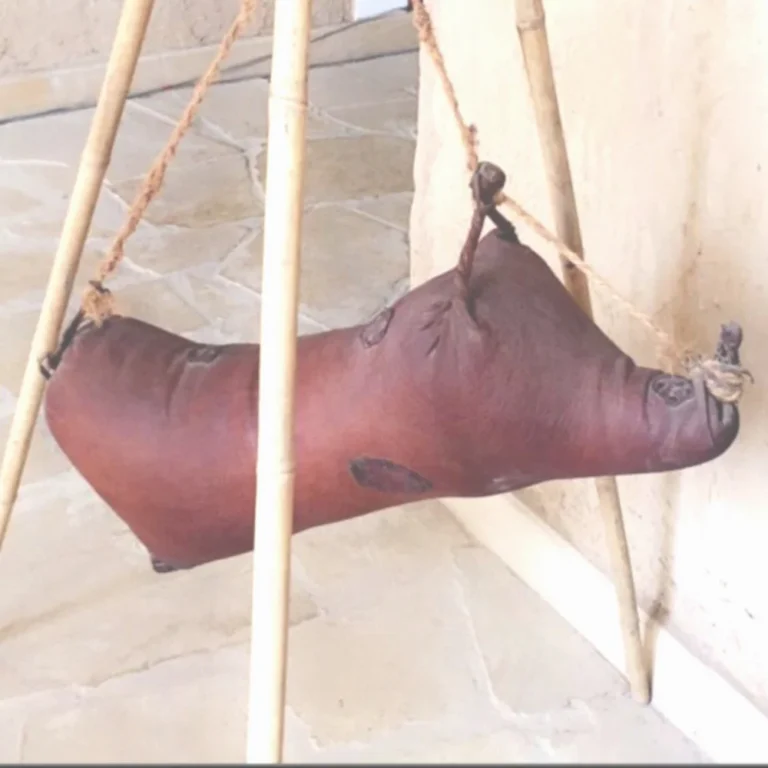 الصميل يتألق في مزاد الإبل بالجوف.. حرفة نسائية تُعيد أمجاد الماضي