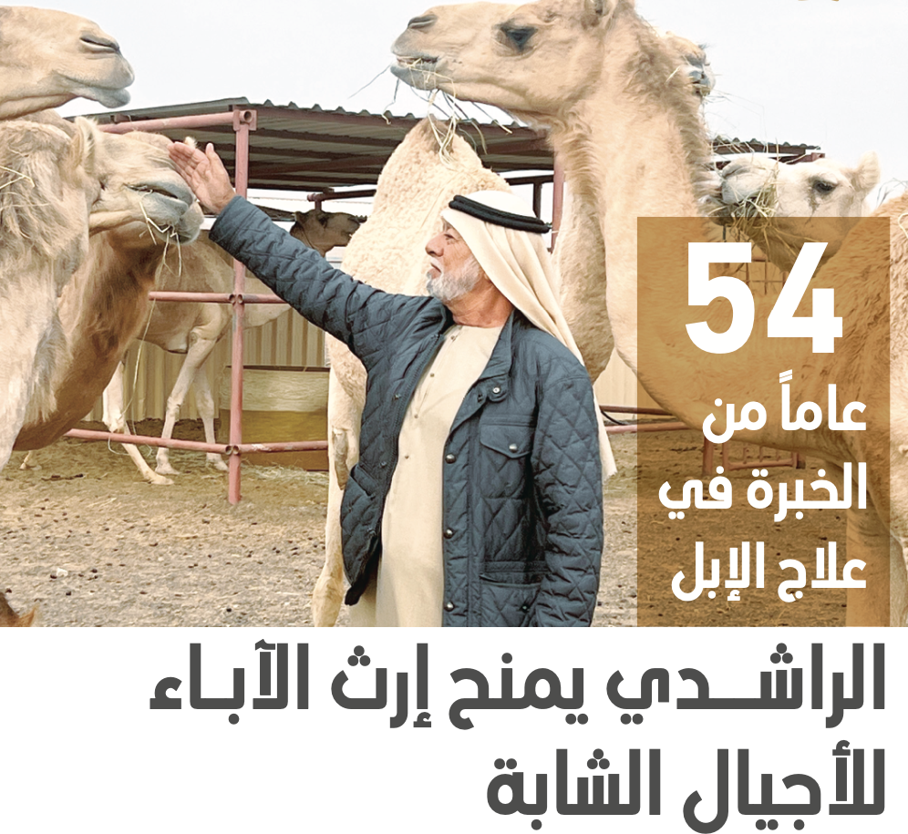 عبيد الراشدي ..54 عاما من الخبرة في علاج الإبل 
