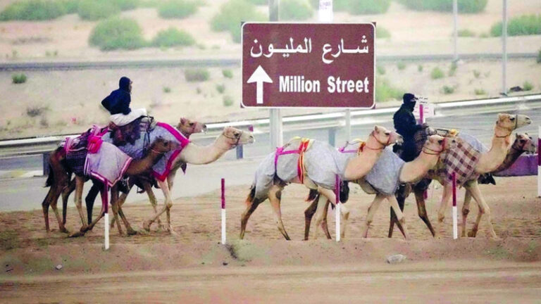 «شارع المليون».. وجهة عشاق الإبل ومُلّاكها في مهرجان الظفرة