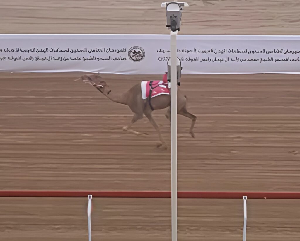 “هملولة” تهدي السيف الفضي للمنصوري.. و"المحيط" و"لبيه" و"ريماس" يتألقون في رموز الزمول والحول مهرجان ختامي الوثبة 2025 يواصل التألق في يوم الحسم الرمزي لأبناء القبائل