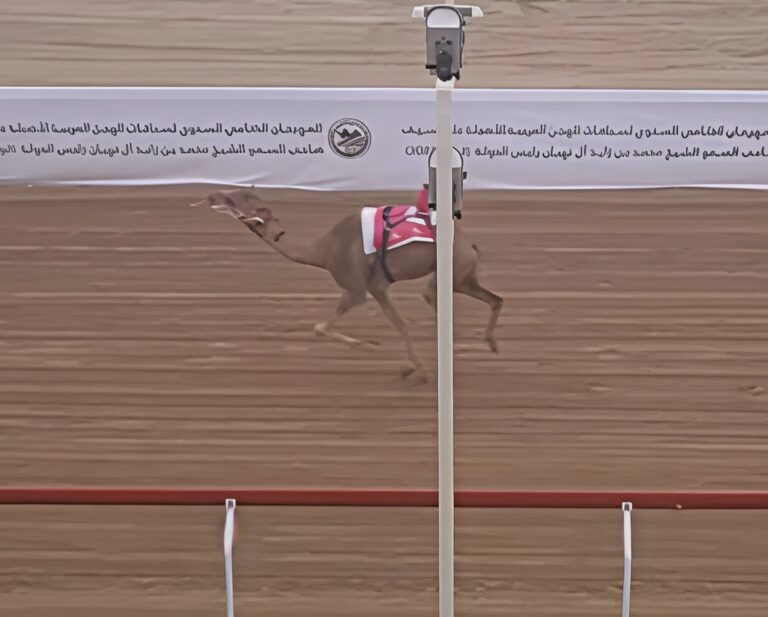 “هملولة” تهدي السيف الفضي للمنصوري.. و"المحيط" و"لبيه" و"ريماس" يتألقون في رموز الزمول والحول مهرجان ختامي الوثبة 2025 يواصل التألق في يوم الحسم الرمزي لأبناء القبائل