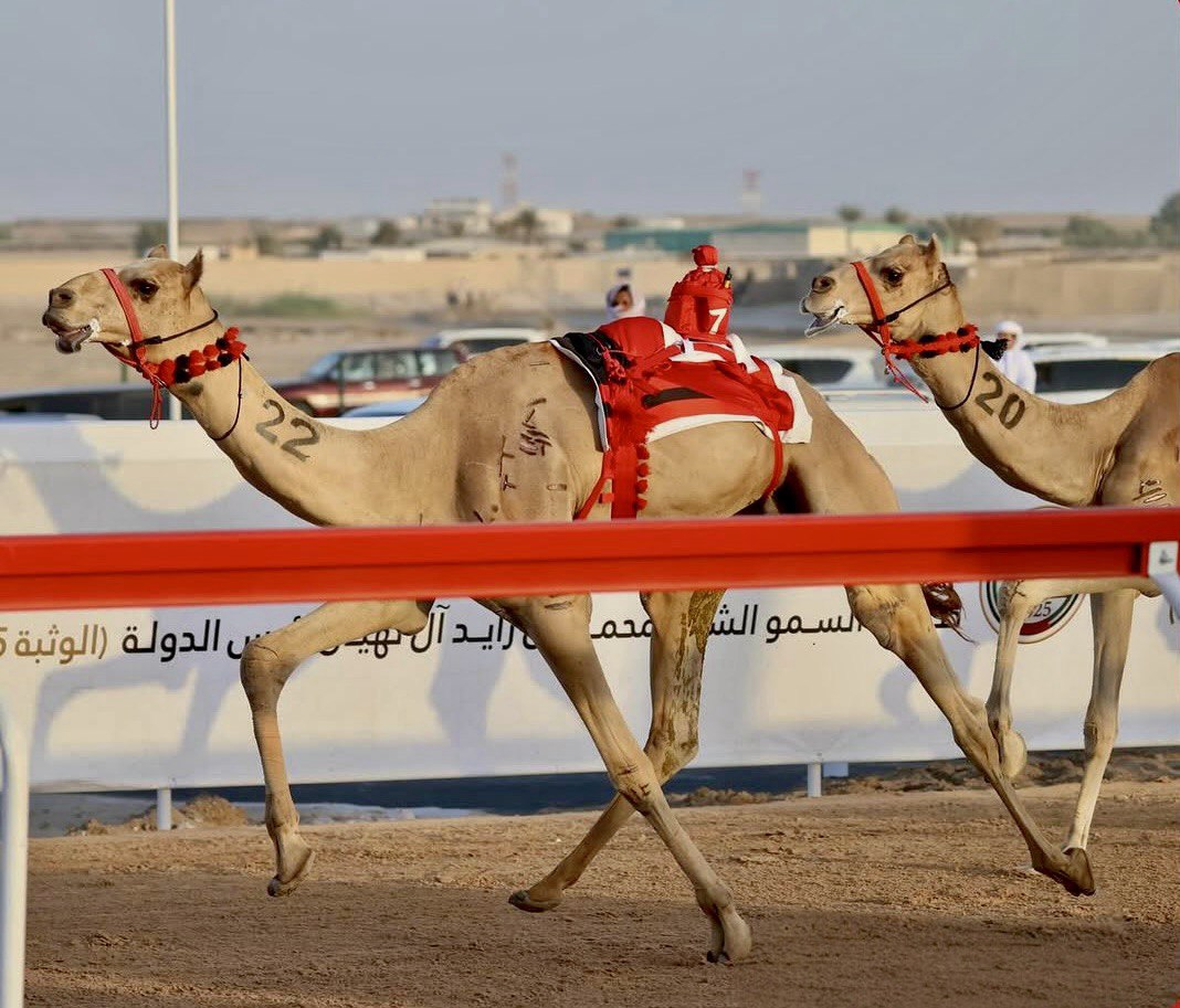 «تنويه» و«المهيب» يحصدان الرموز في منافسات الثنايا بمهرجان ختامي الوثبة 2025