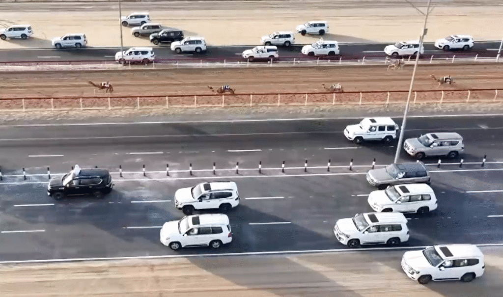 نجوم أبناء القبائل يضيئون سماء الوثبة.. والهدة تسجل أفضل توقيت في سباقات الحول والزمول