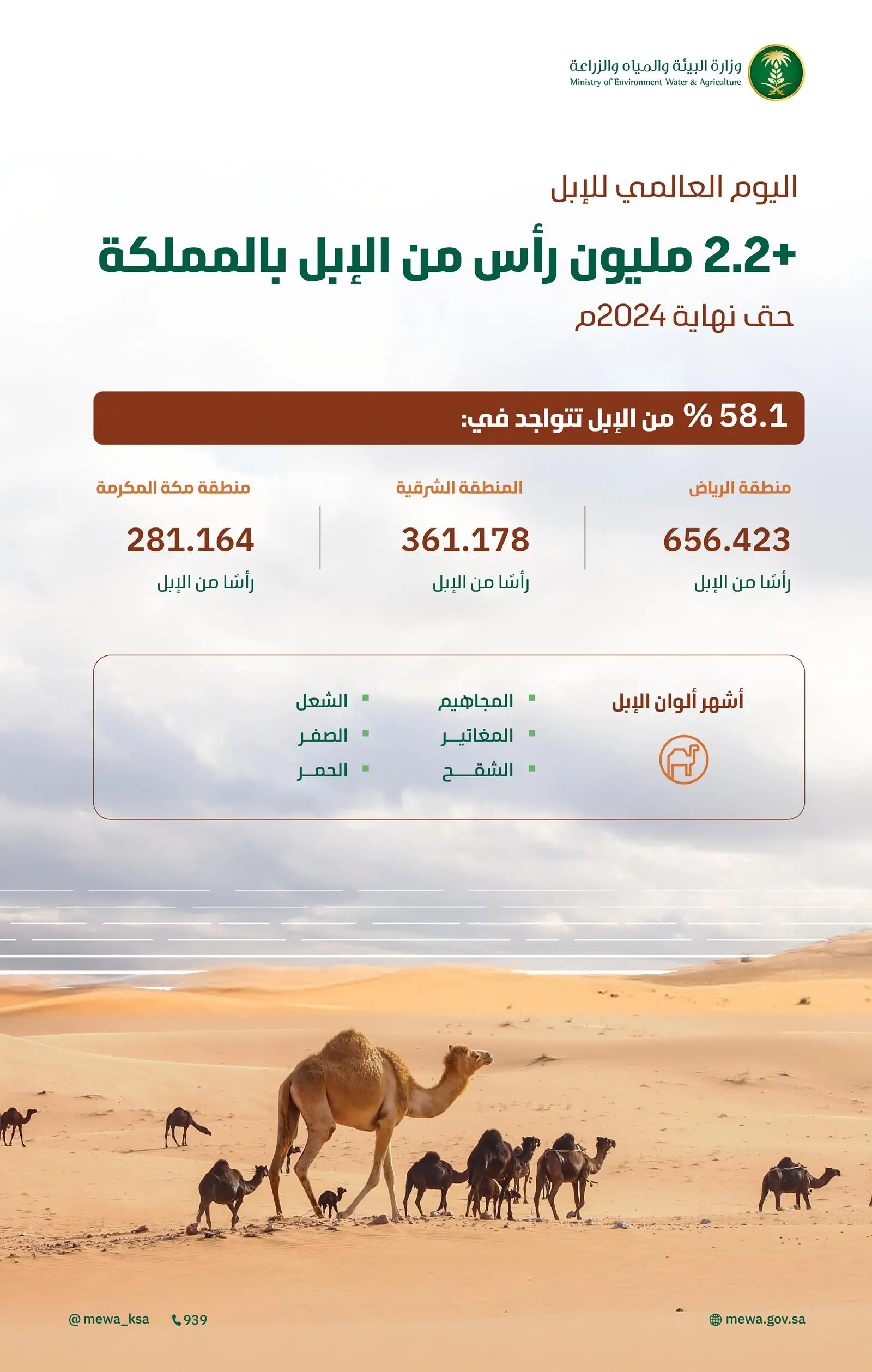 السعودية تواصل ريادتها في المحافظة على تراث الإبل وتطويره.. وأكثر من 2.2 مليون رأس بالمملكة