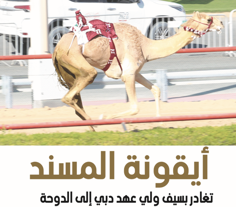 مهرجان سمو ولي عهد دبي للهجن على ميدان المرموم لسباقات الهجن