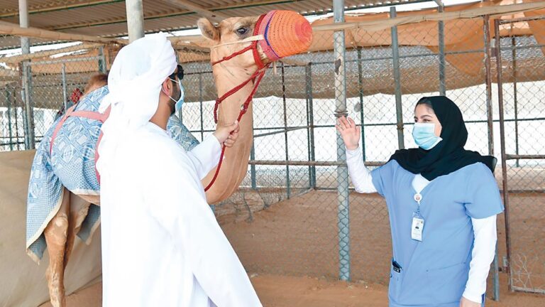 المركز المرجعي لأمراض الإبل في أبوظبي: ريادة علمية عالمية واستدامة لقطاع تراثي أصيل