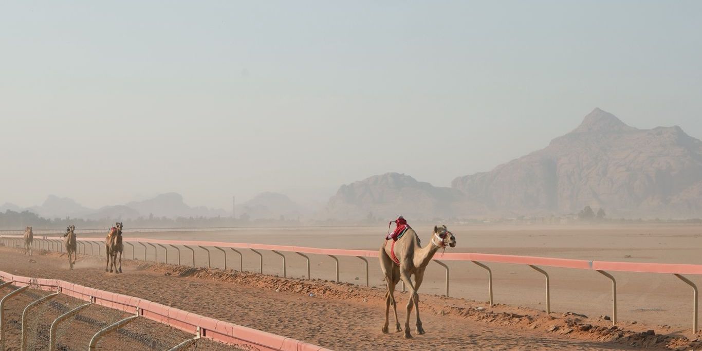 تتويج الفائزين في سباق الهجن الأردنية بمنطقة الديسة احتفالاً بعيد ميلاد ولي العهد