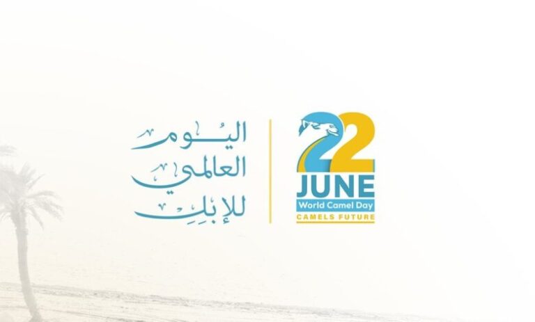 إطلاق أول مدينة صناعية للإبل في السعودية بمساحة 15 مليون متر مربع