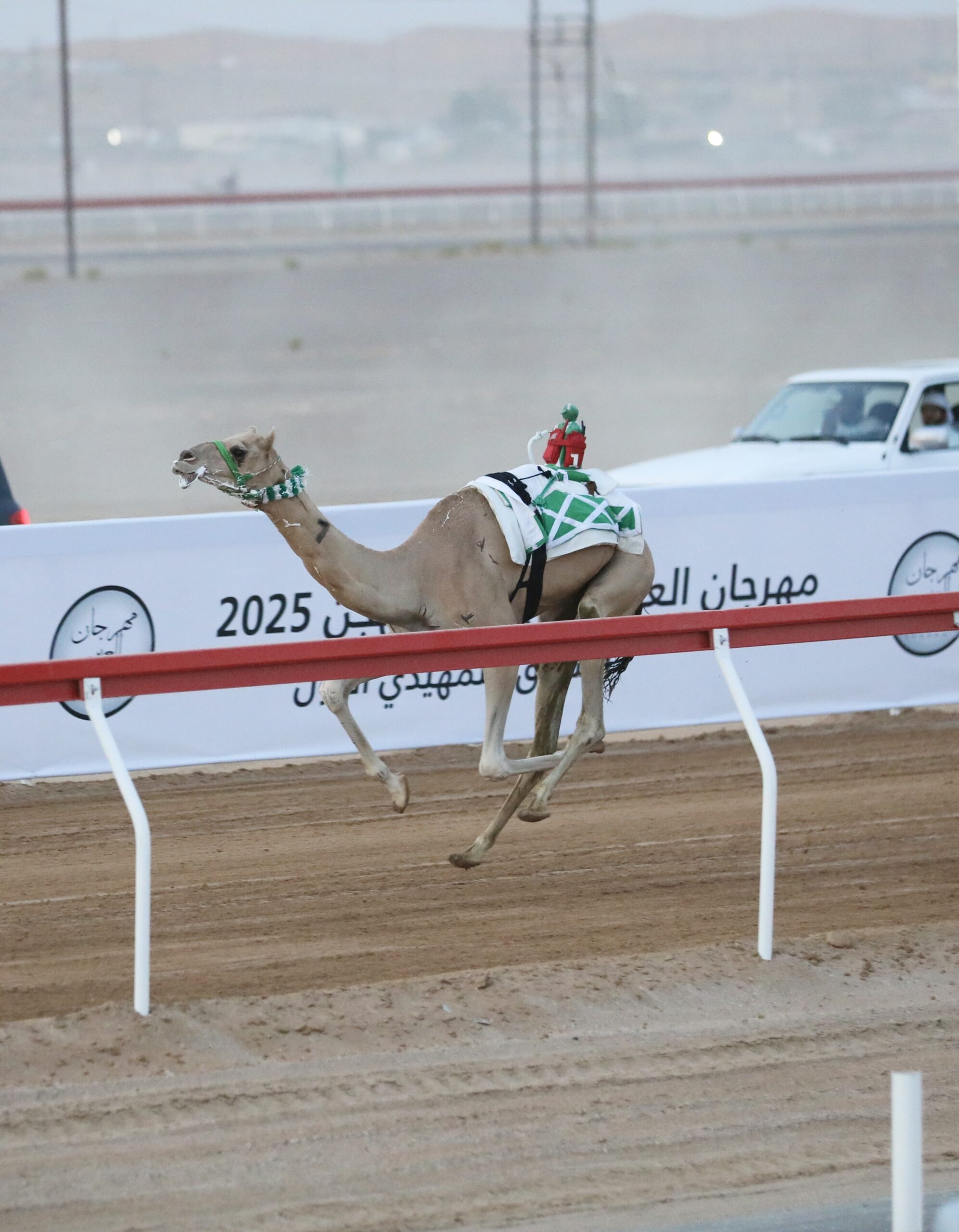 “مياس” يخطف أفضل توقيت في ثالث أيام مهرجان العين لسباقات الهجن 2025 بميدان الروضة