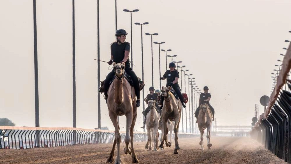 في ختام موسم «رحلة الهجن»... سباقات التراث تحتفي بالتنوع الثقافي العالمي تحت شعار «قيّض متنومس»