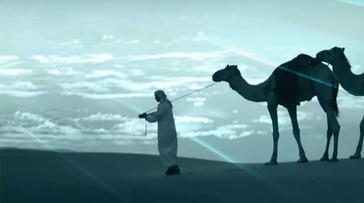 رخصة رعي الإبل الفورية عبر منصة “تم” في أبوظبي: تنظيم ذكي يحمي التراث والبيئة… تعرف على التفاصيل