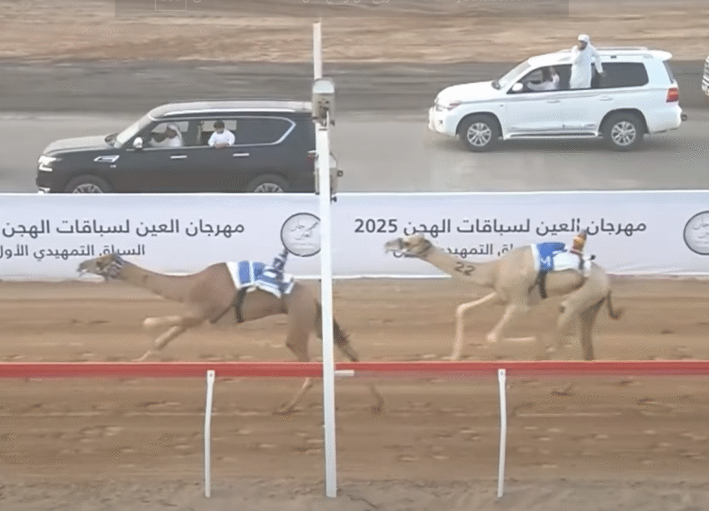 "مياس" يحسم صدارة اللقايا بأفضل توقيت في سادس أيام مهرجان العين لسباقات الهجن 2025