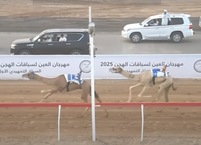 "مياس" يحسم صدارة اللقايا بأفضل توقيت في سادس أيام مهرجان العين لسباقات الهجن 2025