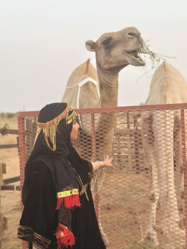 “الأوارك”.. سلالة الإبل المنسية تعود للواجهة من جنوب الجزيرة العربية