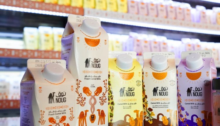 «نوق».. حين يستعيد حليب الإبل مكانته بلمسة عصرية