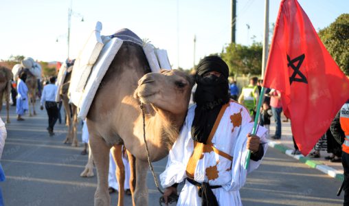 اختتام فعاليات الدورة 12 لمهرجان أسبوع الجمل بكلميم احتفاءً بتراث وادنون ورمزية الجمل في ثقافة الصحراء