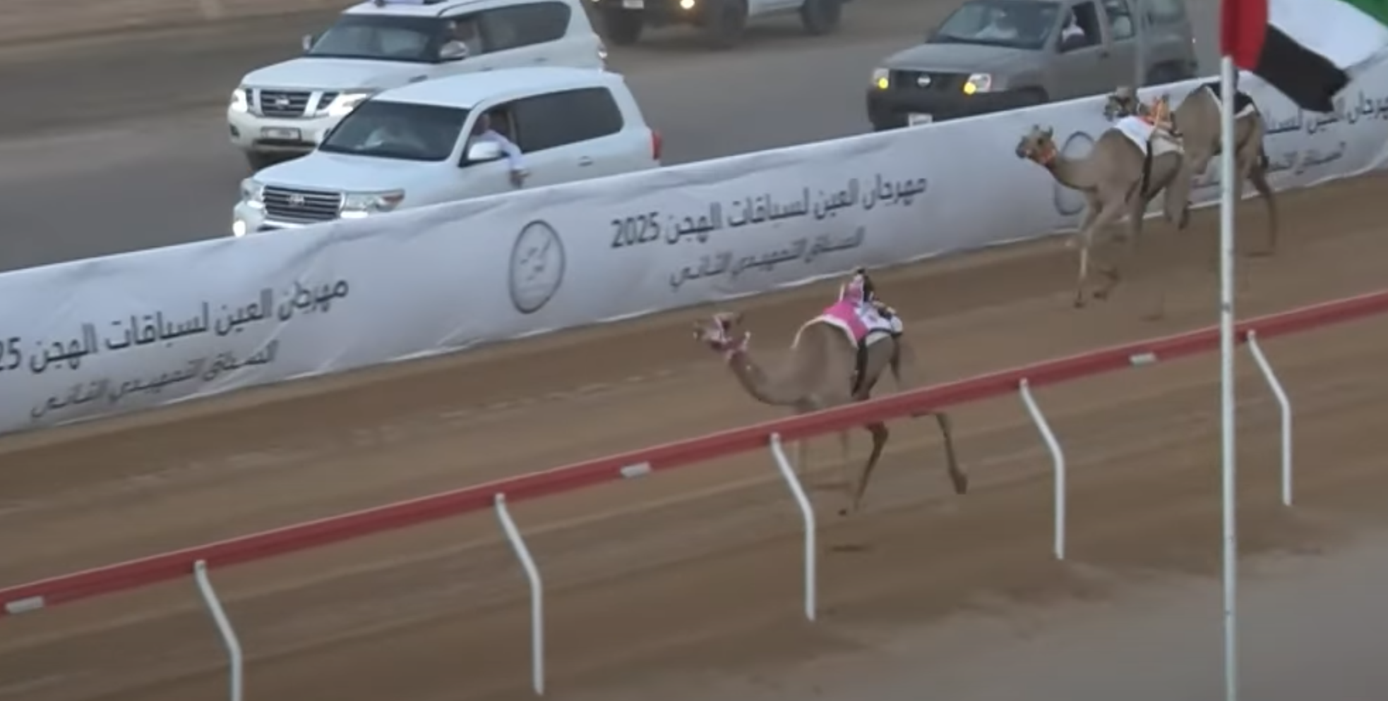 “الشبابية” و”الفاتن” و”الشامخة” يتألقون في سباقات الحقايق خلال اليوم الثالث من مهرجان العين للهجن بميدان الروضة