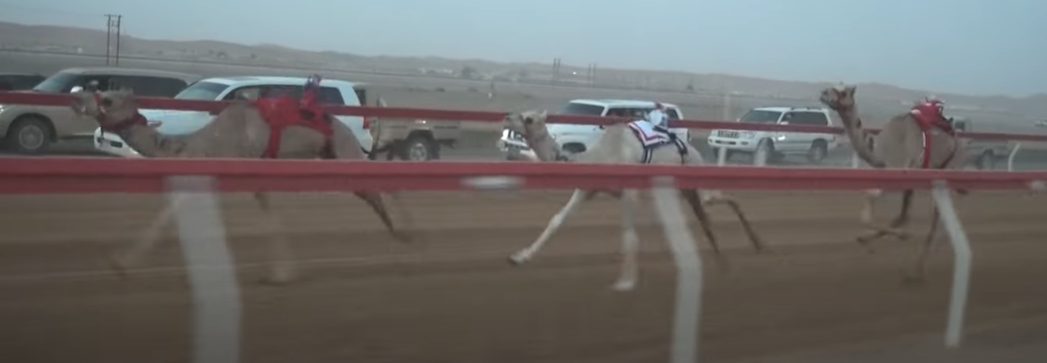 “الشاهينية” و”شاهين” و”سمحون” يتألقون في ميدان الروضة.. منافسة قوية في شارة الصندوق للفطامين