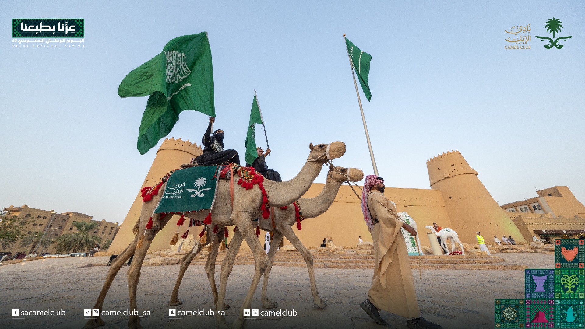 نادي الإبل.. حارس التراث ومنظم الفعاليات الكبرى في السعودية