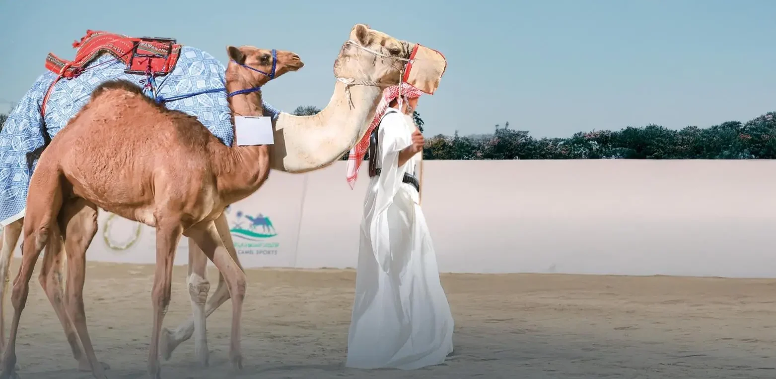 مزاد الهجن يثري فعاليات معرض الصقور والصيد السعودي الدولي 2025