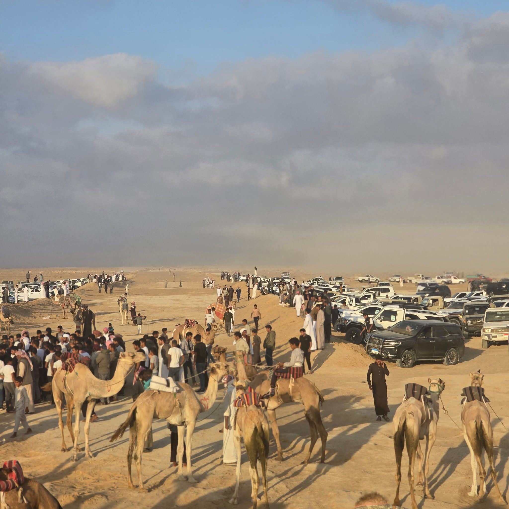 ميدان السر  بسيناء المصرية يحتضن سباق  تراثى للهجن بمسافات تصل إلى 17 كم ومنافسات تراثية مثيرة