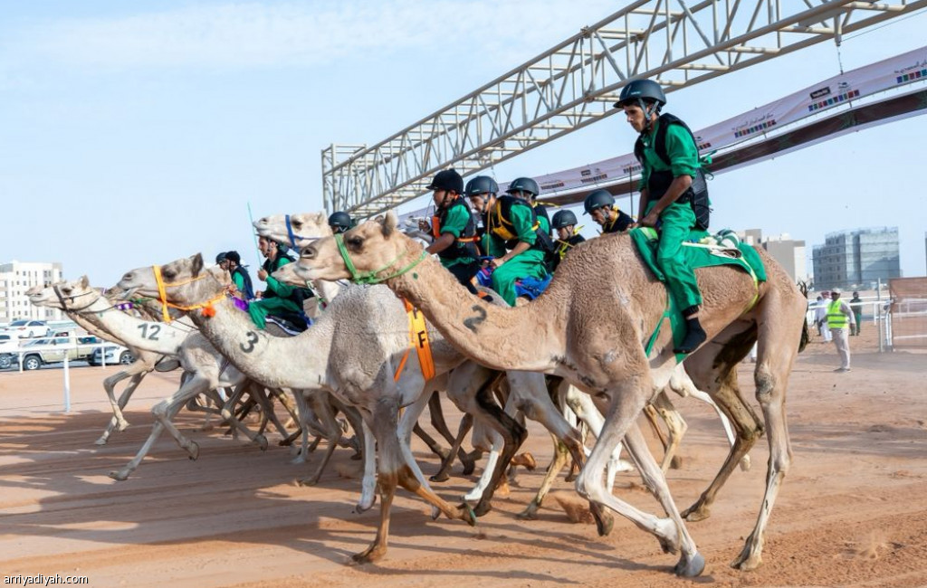 تتويج الفائزين في سباق الهجن باليوم الوطني السعودي الـ95 في الجنادرية
