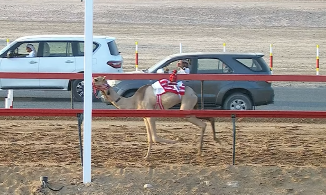 الواريه تخطف الأضواء بأفضل توقيت في سباقات الحقايق بميدان المرموم