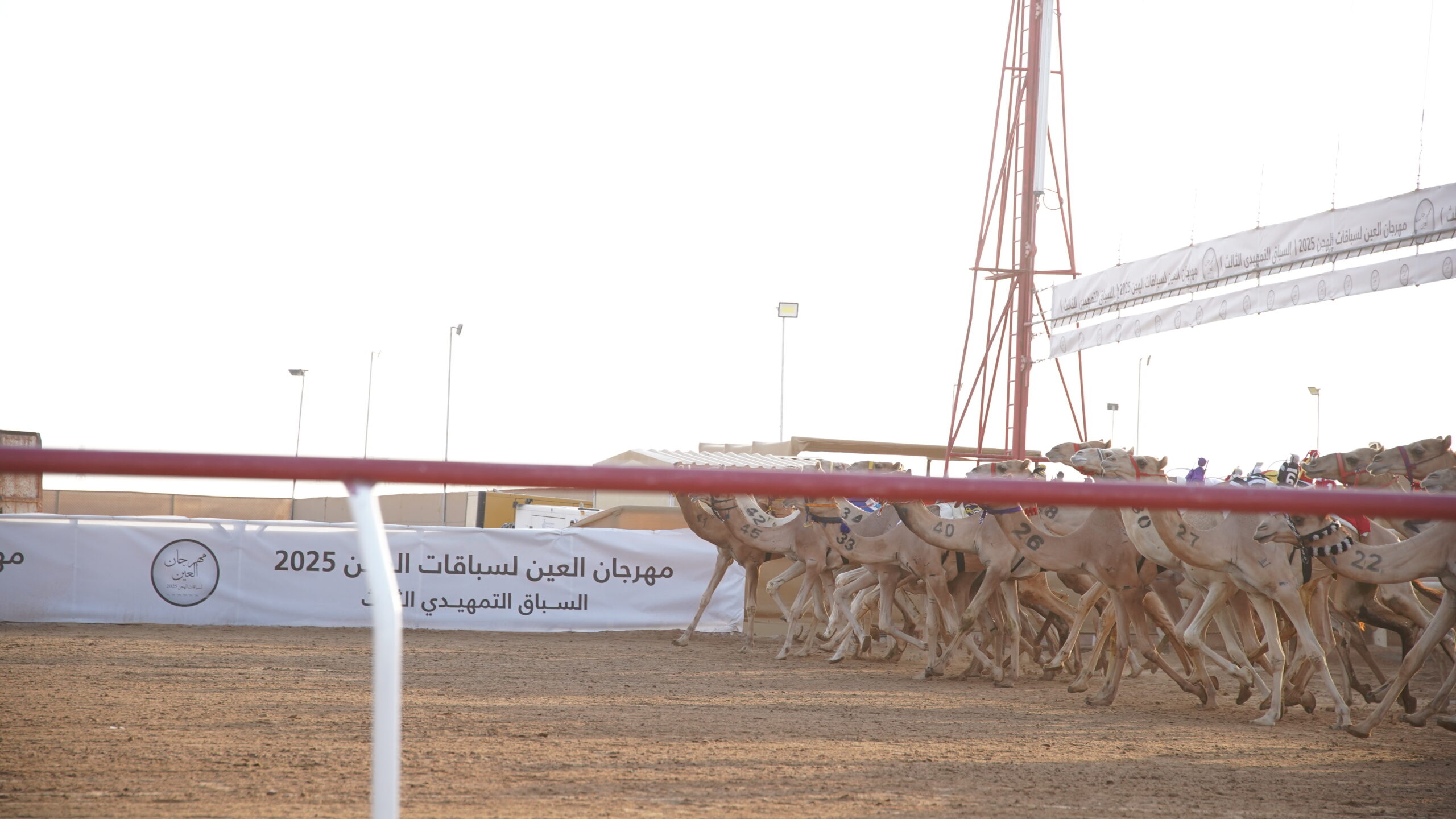 إسدال الستار على ختاميات تمهيدي العين الثالث 2025 بعد 10 أيام من المنافسات المتواصلة