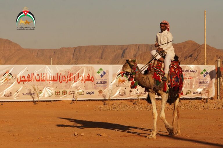 بدعم من الاتحاد العربي لرياضة سباقات الهجن..الأردن على موعد مع التظاهرة التراثية الأكبر: بطولة كأس العرب للهجن