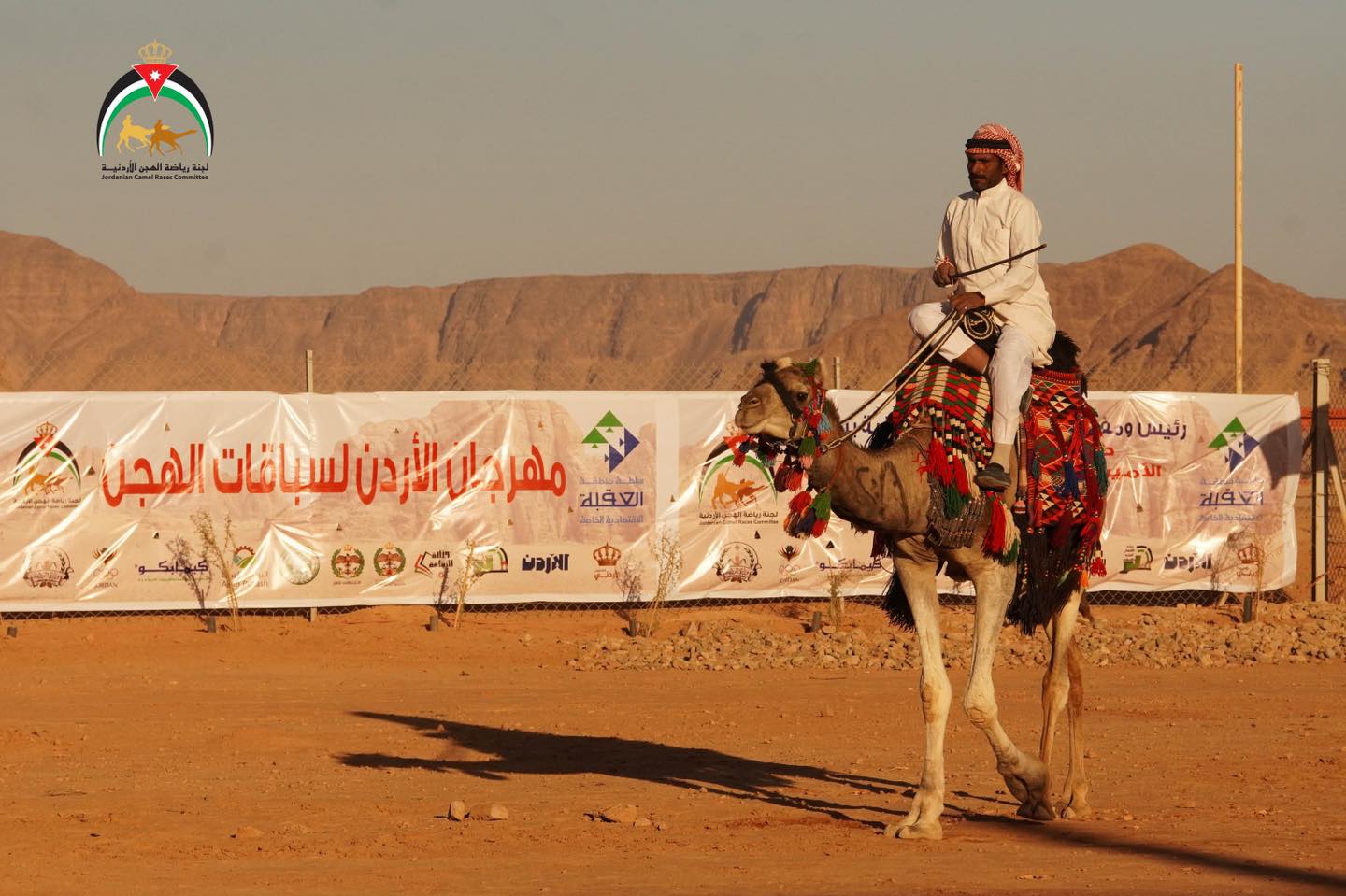 بدعم من الاتحاد العربي لرياضة سباقات الهجن..الأردن على موعد مع التظاهرة التراثية الأكبر: بطولة كأس العرب للهجن