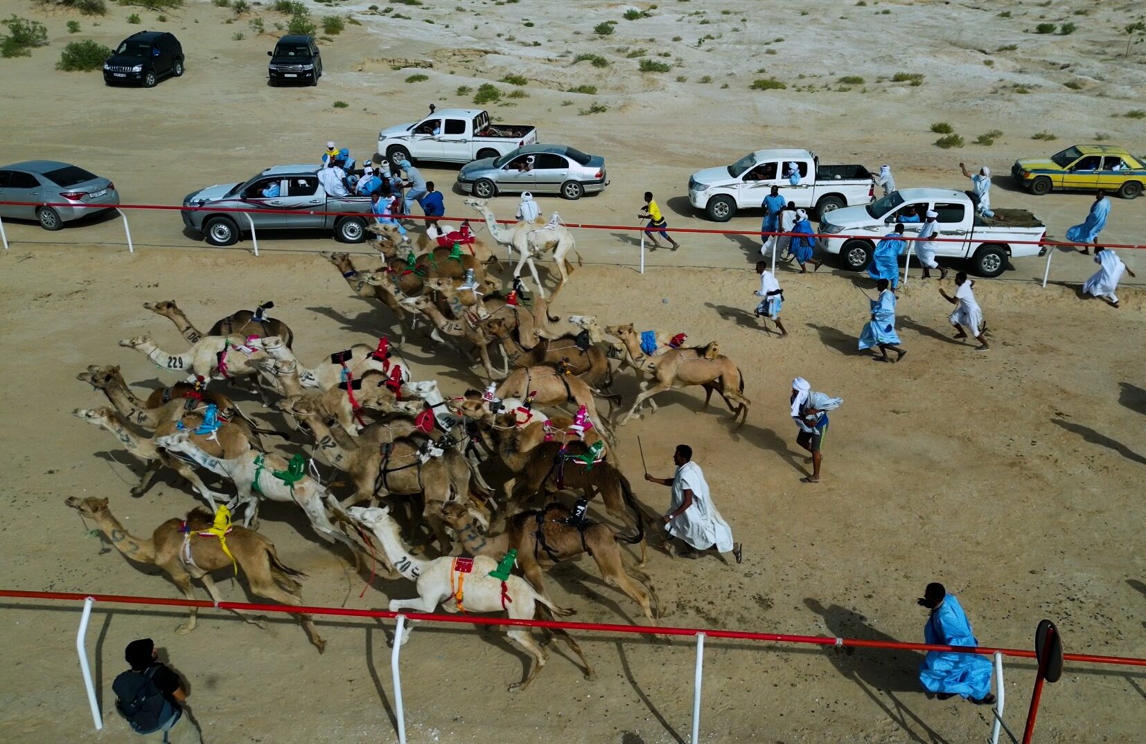 انطلاق النسخة الثانية من سباق الهجن في نواكشوط برعاية الإمارات