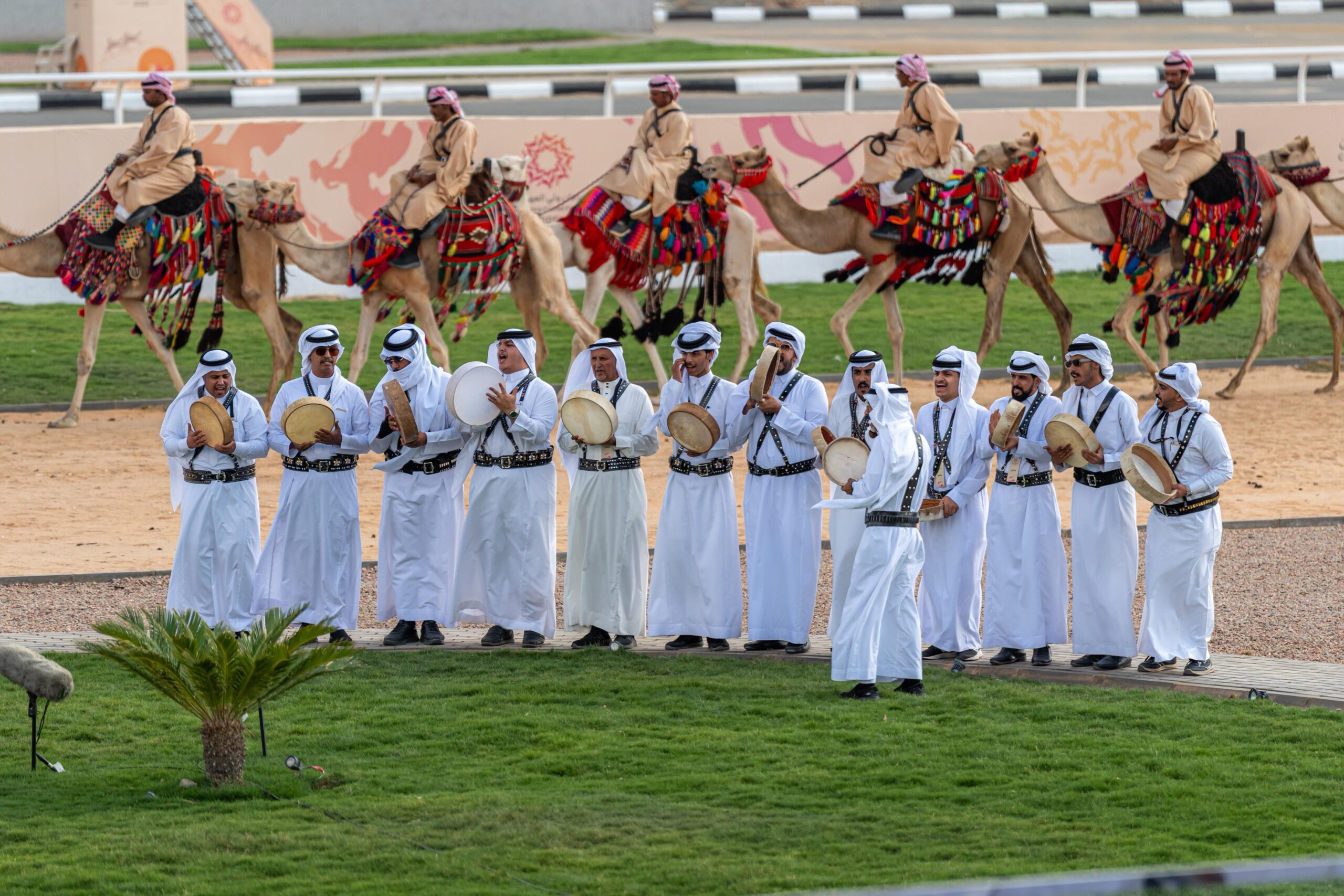المجرور الطائفي.. أنغام الأصالة ترافق تراث الهجن