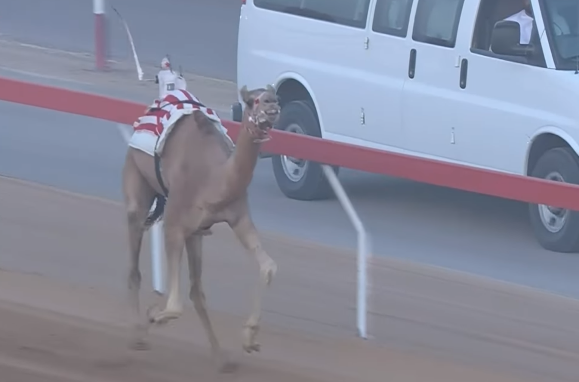 (الحذره) تتألق بأسرع توقيت في سباقات الثنايا بميدان الروضة ضمن تمهيدى العين الثالث 2025