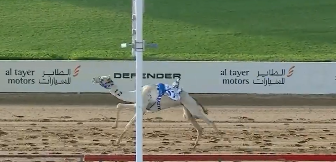 ناموس متنوع في تأهيلي المرموم للإيذاع.. ومهدي يسجل التوقيت الأفضل