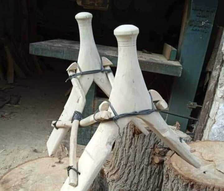 زينة الإبل… حكاية تراث يعكس روح الصحراء في بادية مصر