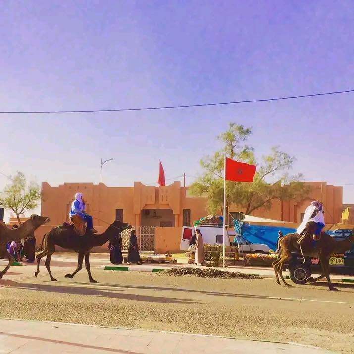 تأسيس "جمعية محاميد لغزالات لسباقات الهجن" بالمغرب لتعزيز الموروث الثقافي والرياضي الصحراوي