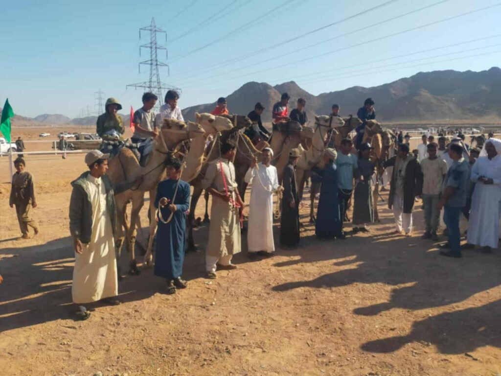 شعيلان يحصد السيف الذهبي في سباق المقرح للهجن بجنوب سيناء