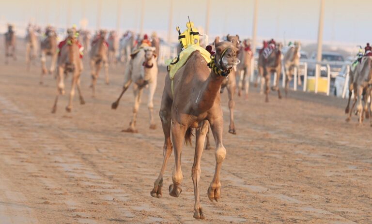 «مهر» لغانم راشد المري تخطف الصدارة في ختام المحلي الثالث بميدان الشحانية