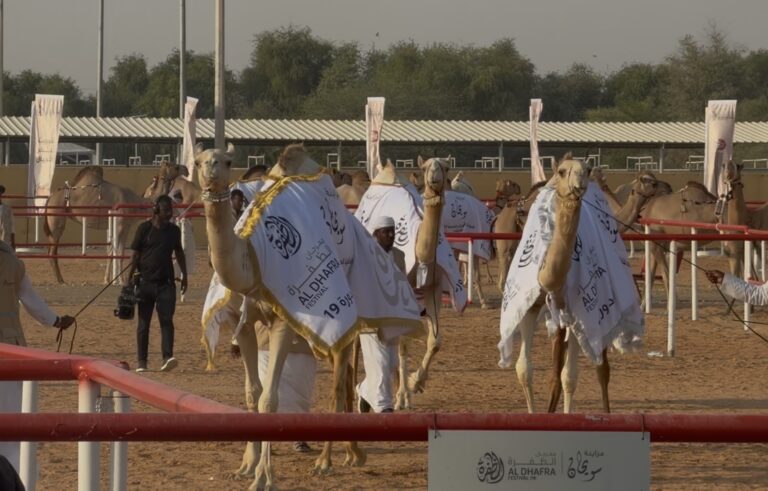 لقطات من تألق “اللقايا محليات الأصايل” في مزاينة سويحان .. فيديو
