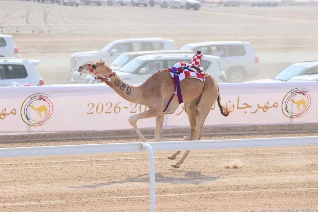 سلطان بن حمدان يشهد فعاليات مهرجان الظفرة للهجن