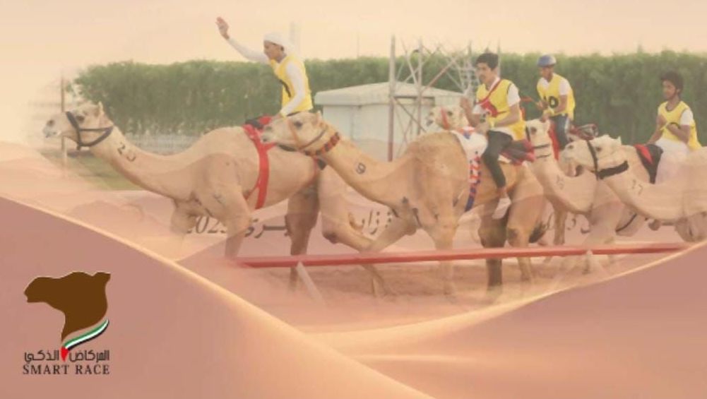 السبت انطلاق السباق التراثي للهجن في مهرجان ختامي العين.. 10 أشواط وجوائز ضخمة في ميدان الروضة