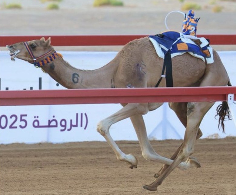 وصايف ومرحب يتألقن في ختام سباقات الثنايا بميدان الروضة ضمن مهرجان العين 2025