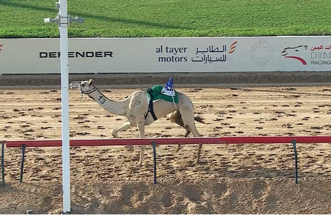 “سلمى” تحقق أفضل توقيت في تأهيلي المرموم لفئة الحول والزمول