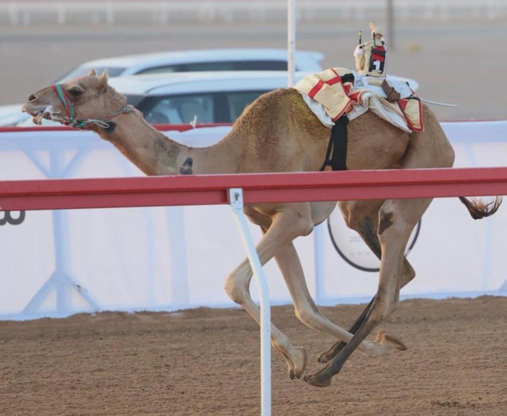 سمحه تفتتح الفوز و“الصيرمي” يخطف أفضل توقيت في ختام سباقات اللقايا بميدان الروضة ضمن مهرجان العين 2025