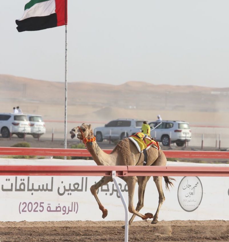 السيف لـ “بن عويضان” والبندقية لـ “بن لوتيه” في ختام مهرجان العين للهجن 2025