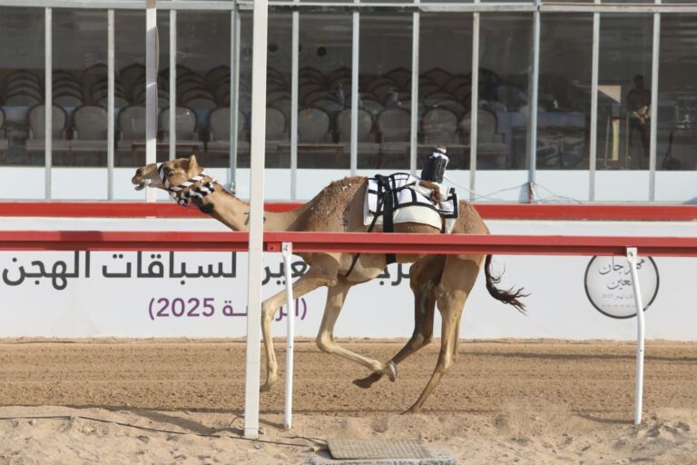 “ثروة” و”دليل” يخطفان رموز الثنايا في ختام مهرجان العين لسباقات الهجن 2025 بميدان الروضة