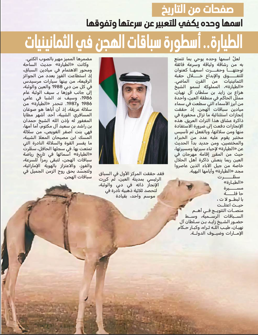 الطيارة ..أسطورة سباقات الهجن فى الثمانينات